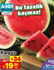 KARPUZ KG